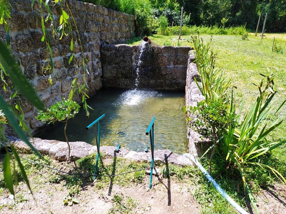Casas Vale Martinho Panzió Santa Comba Dao Kültér fotó