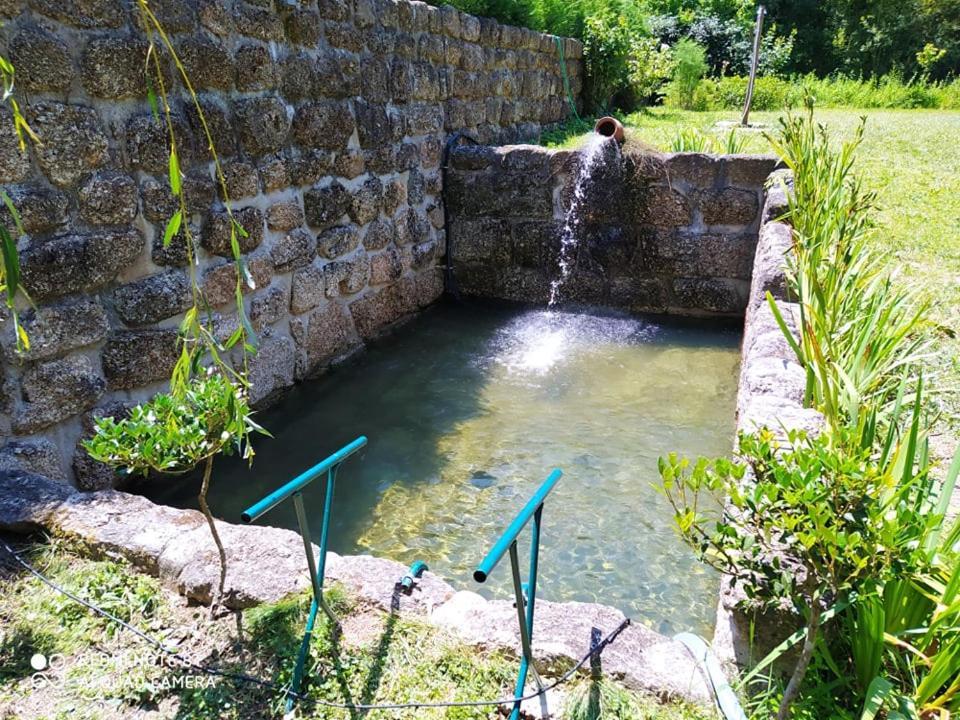 Casas Vale Martinho Panzió Santa Comba Dao Kültér fotó